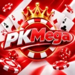PKMega
