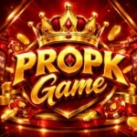 PROPK Game