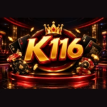 K116 2026