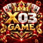 X03 Game
